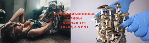 трава Баксан