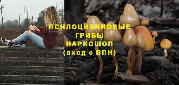 мдма Новозыбков