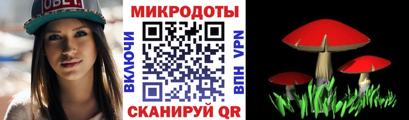 Псилоцибиновые грибы Psilocybine cubensis  Реутов 