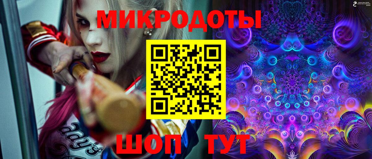 Псилоцибиновые грибы Psilocybe Реутов