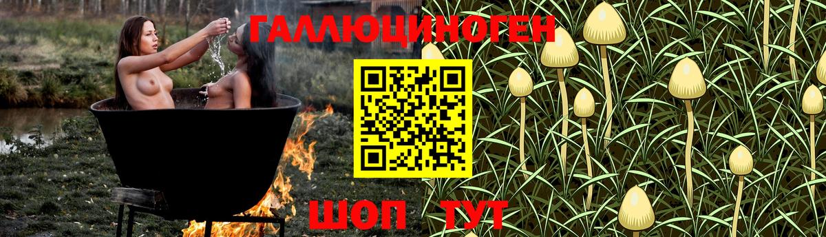 Реутов  Галлюциногенные грибы мухоморы  Вход с VPN 